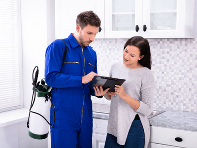 About Camelot Mice Removal - mice removal experts in Camelot
